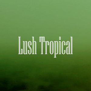 Lush Tropical