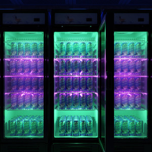 Cloud / Hope (Calixto Remix)