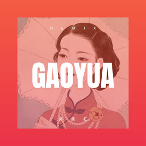 风里雨里我等着你 (DJ版)