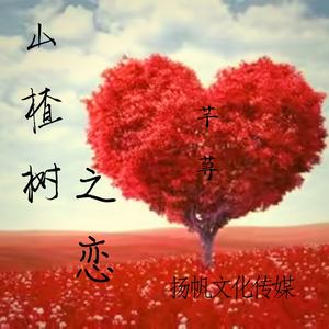 山楂树之恋