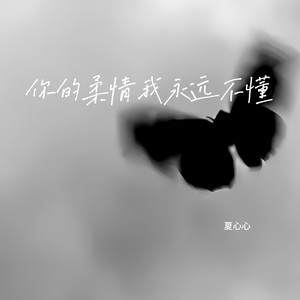 你的柔情我永远不懂