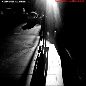 Sombras en la oscuridad(feat. Nayla P.)