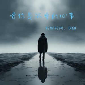 爱你是孤单的心事封面