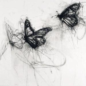 an3stec14 (interlude)