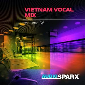 Vietnam Vocal Mix Volume 36