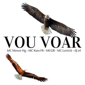 Vou Voar (Explicit)