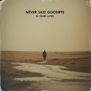 Never Said Goodbye