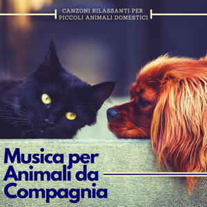 Musica per Animali da Compagnia - Canzoni Rilassanti per Piccoli Animali Domestici