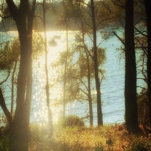 Not All Mine (Explicit)