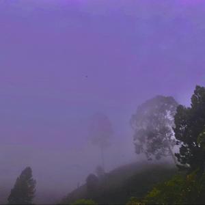 Disco Espiritual (Single Version)