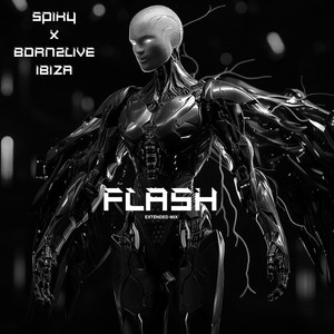 Flash (Extended Mix|Extedend Mix)