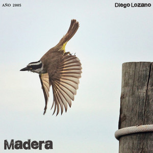 Madera