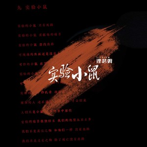 实验小鼠
