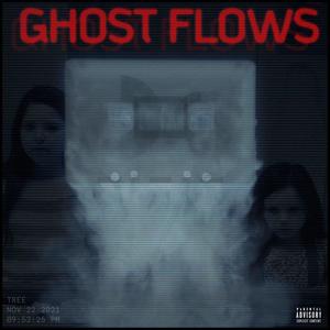 ghost flows. (Explicit)