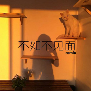 不如不见面remix