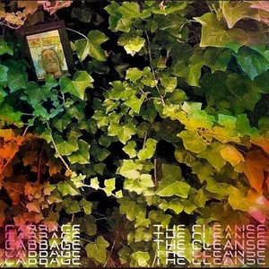 The Cleanse