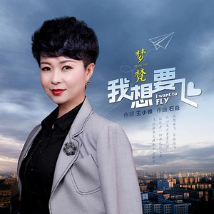 我想要飞