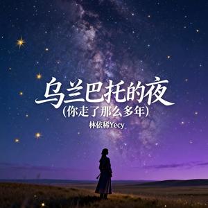 乌兰巴托的夜 (你走了那么多年)