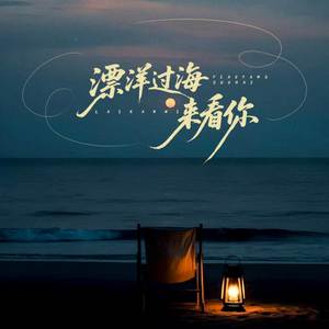 漂洋过海来看你