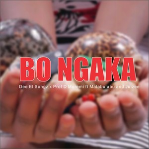 BO NGAKA (Radio Edit)