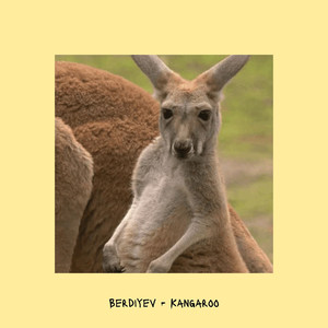 Kangaroo (Explicit)