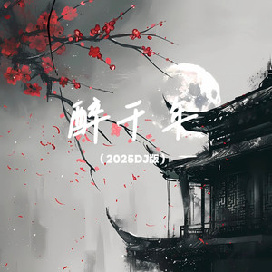 醉千年 (DJ版)