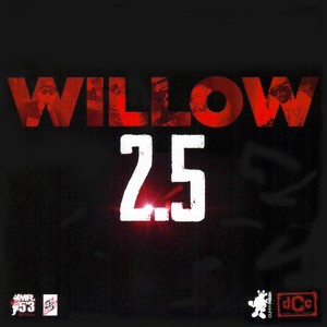 Willow 2.5 (Explicit)