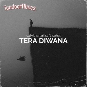 Tera Diwani (ReFix)