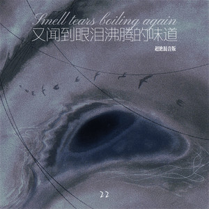 又闻到眼泪沸腾的味道 (超绝混音版)