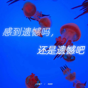 感到遗憾吗 还是遗憾吧 (伴奏)