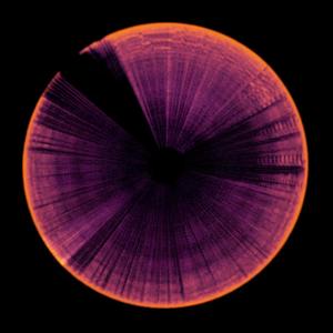 Iris (feat. Cxsinensis) (alt. version)