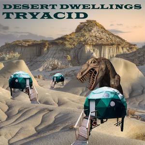 Desert Dwellings (Radio Edit)