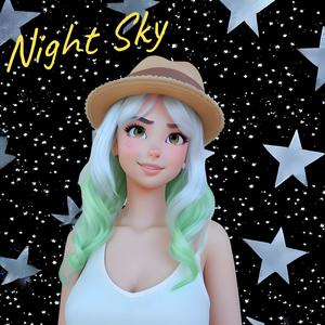 Night Sky