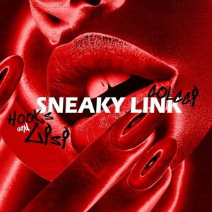 Sneaky Link (Explicit)