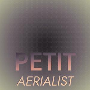 Petit Aerialist