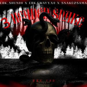 3 Headed Snake (feat. Ebk.ewayy.X0 & SnakeØsama) (Explicit)