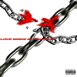 Love Birds in Bondage (Explicit)