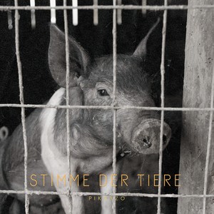 Stimme der Tiere (Explicit)