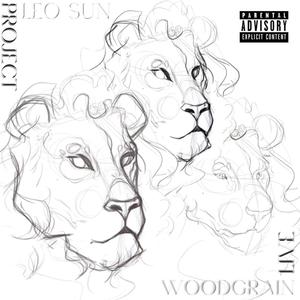 WoodGrain1.wav (Explicit)