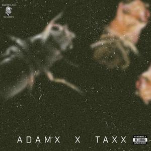 Flies on the Rise (Explicit)