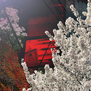 Cruel December (feat. Prosper benjamin) (Explicit)