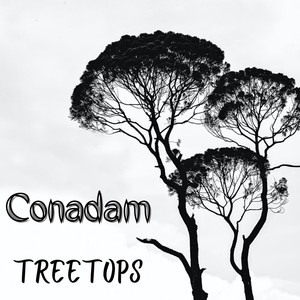 Treetops