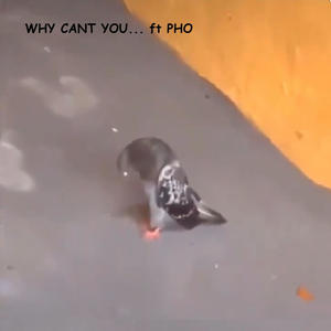 why couldnt you... (feat. Pho) (Explicit)