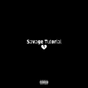 Savage Tutorial (Explicit)