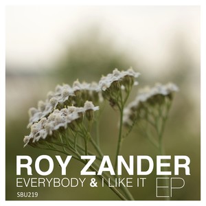 Everybody / I like it EP