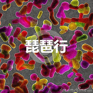 你莫走 (王者版)