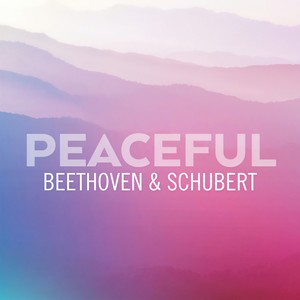 Piano Trio No. 2 in E flat, Op. 100 D.929 - 2. Andante con moto