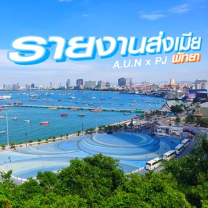 รายงานส่งเมีย (Explicit)