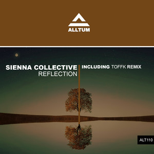 Reflection (Toffk Remix)