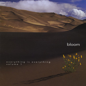 Bloom: Everything Is Everything, Vol.1